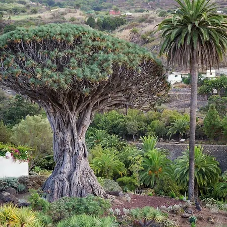 Superior C: Private Pool & Concierge *