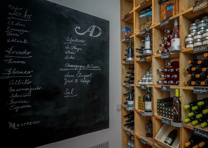 公寓 高级c公寓：私人游泳池和礼宾服务 伊科德·德·洛斯·维诺斯