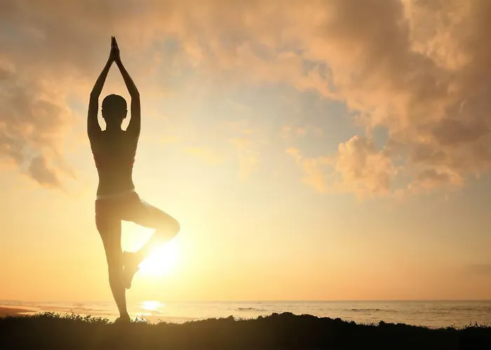 高级c公寓：私人游泳池和礼宾服务 公寓 伊科德·德·洛斯·维诺斯