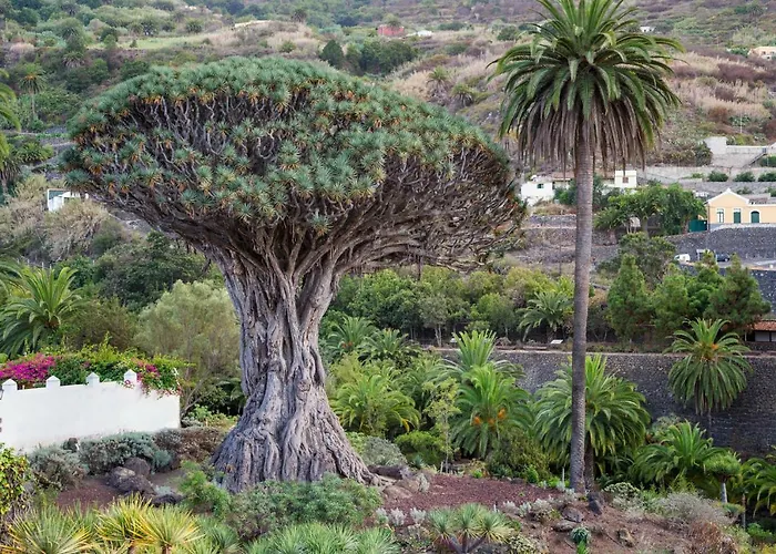 高级c公寓：私人游泳池和礼宾服务 *